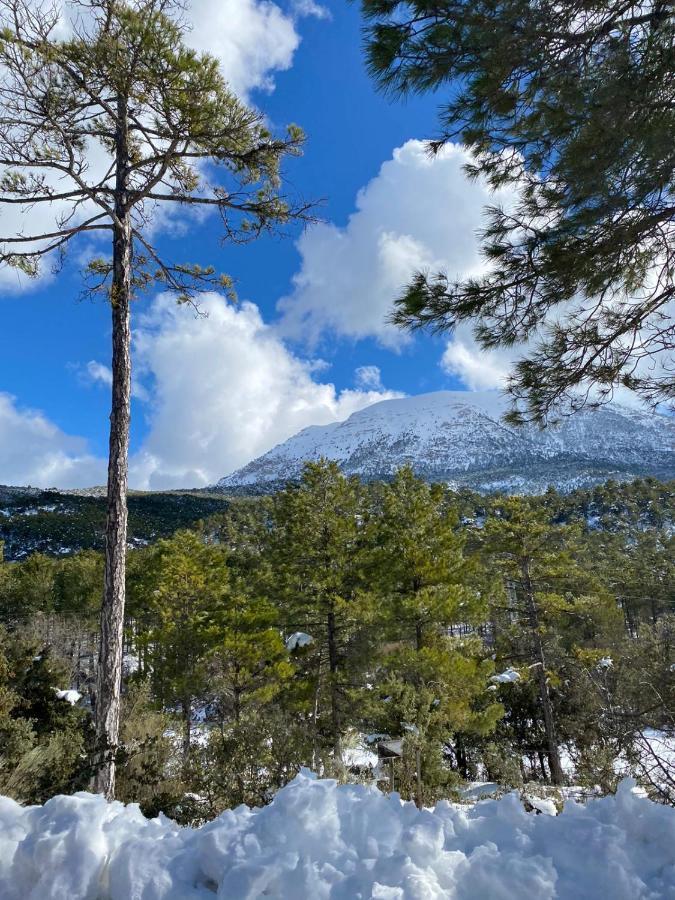 Finca Los Villegas Castril Kültér fotó
