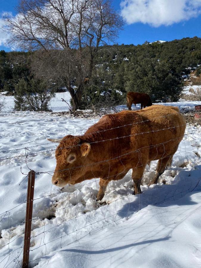 Finca Los Villegas Castril Kültér fotó